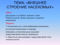 Презентация к уроку 