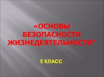 Экстремизм и терроризм: основные понятия и причины возникновения. 5 класс.