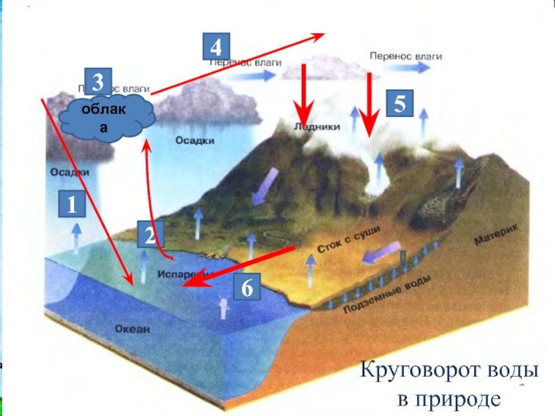 Нарисуйте схему мирового круговорота воды