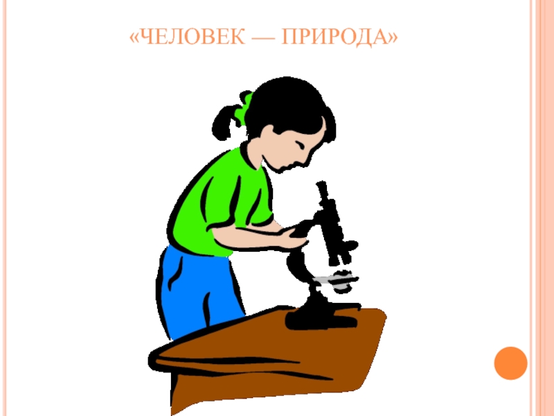 Профессия моей мечты