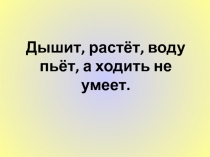 Презентация к уроку окружающего мира во 2 классе по теме 