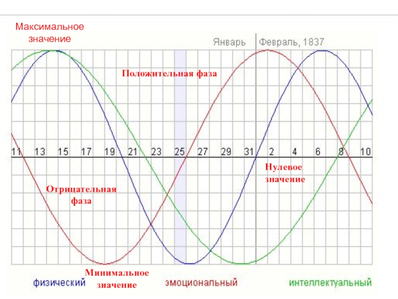 Максимальное и минимальное значение. Минимальное и максимальное значение. Отрицательная фаза. Позитивная фаза. Значение фазы.