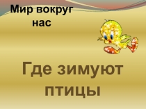 Где зимуют птицы?