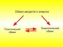 Открытый урок по теме Витамины. 8 класс. (презентация).