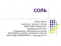 Мини-проект по окружающему миру по теме