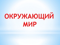 Презентация к уроку по окружающему миру 