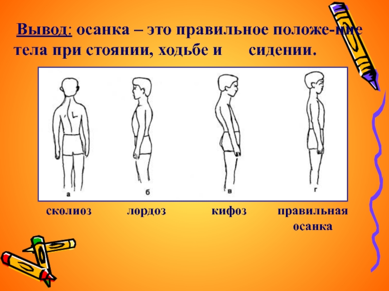 Класс биология осанка. Осанка. Вывод про осанку. Осанка презентация. Привычная осанка.