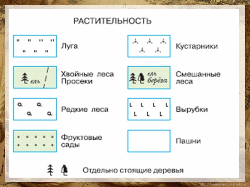 Условные знаки каких объектов изображены на рисунке 5 класс география