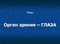 Презентация к уроку окружающего мира по теме 