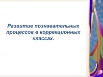 Развитие познавательных процессов у обучающихся коррекционных классов.