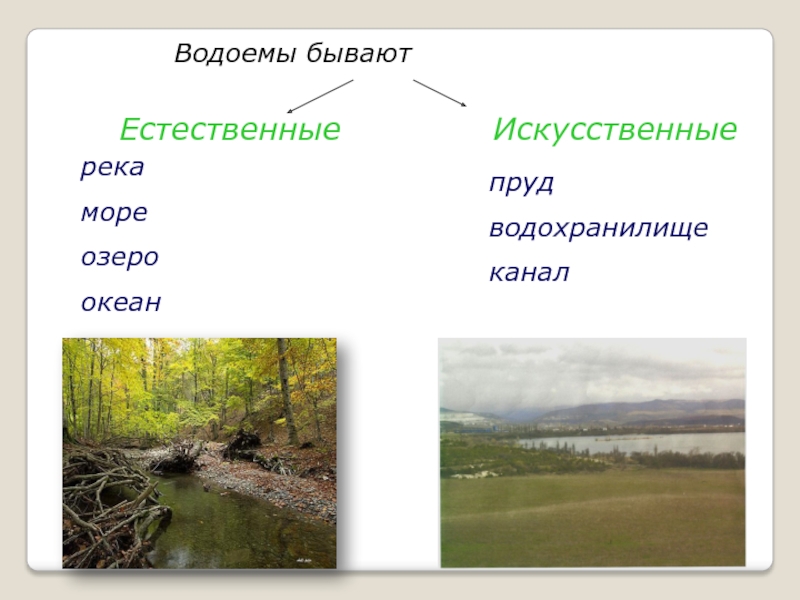 Водоемы естественные и искусственные схема