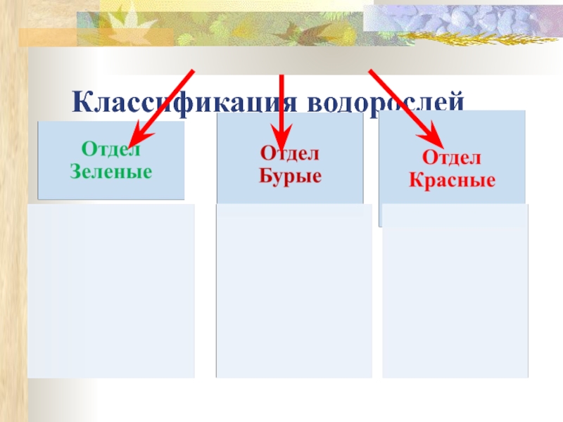 Систематику водорослей. Классификация водорослей 6 класс. Классификация водорослей схема. Отдел водоросли классификация. Классификация водорослей таблица.