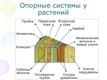 Опорные системы