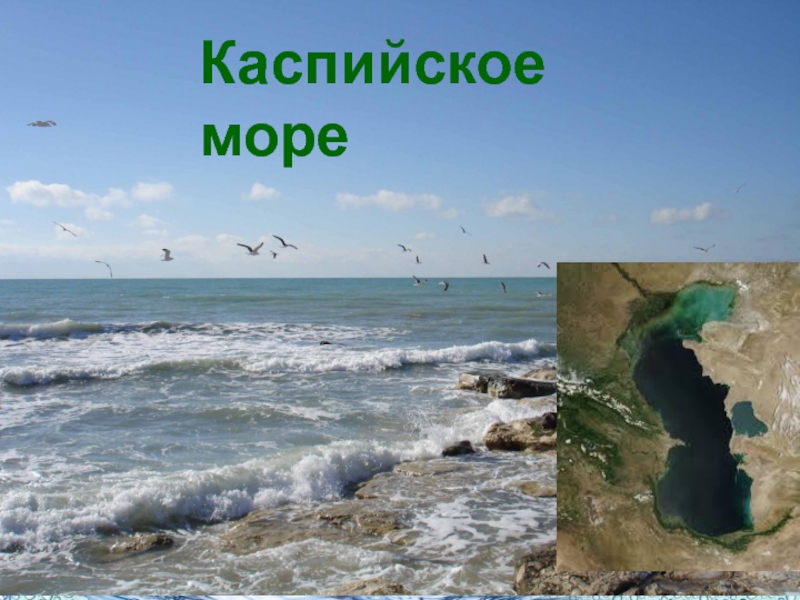 Рисунок каспийского моря