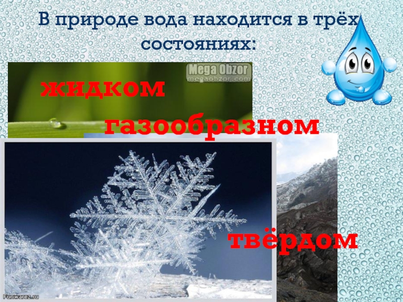 Вода находится в трех. Вода находится в трех состояниях. Вода в природе находится в 3 состояниях?. Проект по окружающему миру раствор в природе. Вода в природе находится в 3 состояниях да или нет.