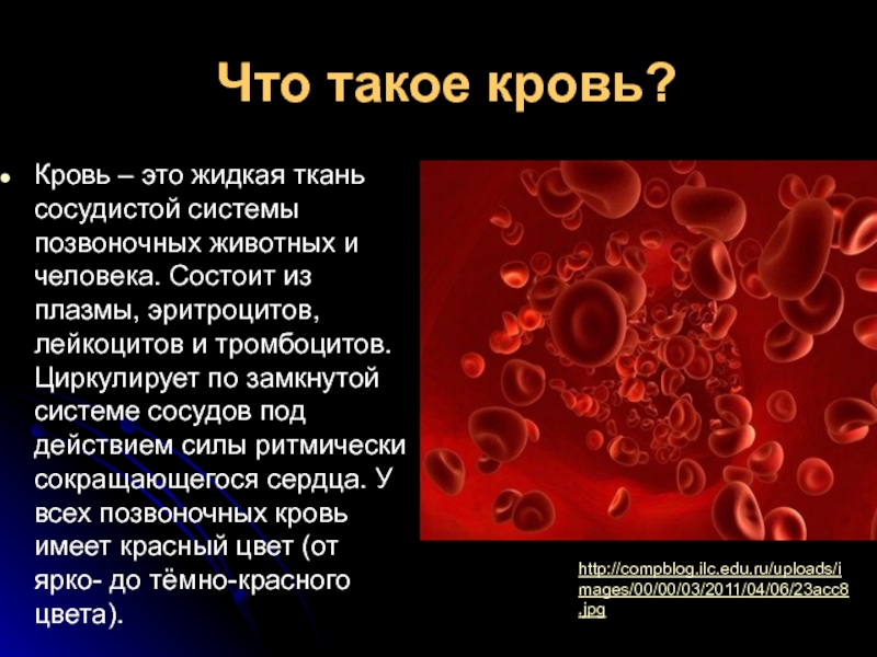 Почему кровь считают