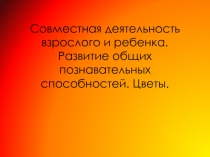 Совместная деятельность взрослого и ребенка. Развитие общих познавательных способностей.