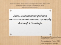 Экзаменационная работа по сельскохозяйственному труду Синьор Помидор