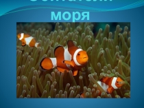 Обитатели моря