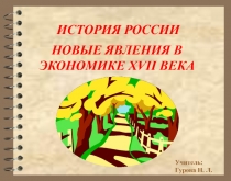 НОВЫЕ ЯВЛЕНИЯ В ЭКОНОМИКЕ XVII В