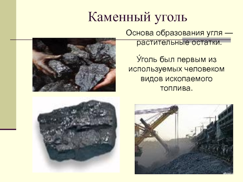 Формирование залежей каменного угля возникновение первых рептилий. Каменный уголь. Каменный уголь образовался из. Образование каменного угля. Появление каменного угля на земле.