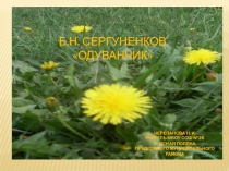 Литературное чтение. 2 класс. Б. Сергуненков 