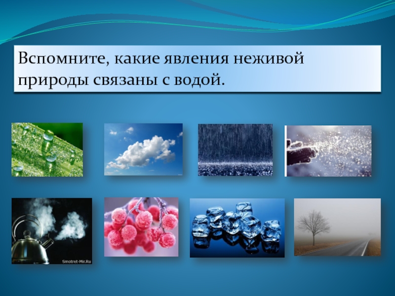 Проект по химии на тему соли в неживой природе