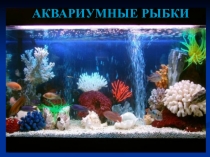 Аквариумные рыбки