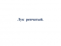 Презентация к уроку по сельскохозяйственному труду 