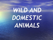 Wild and Domestic Animals