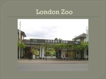 London Zoo