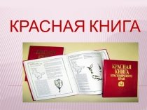 Внимание, Красная книга! Папка начинающего исследователя (для практической работы).