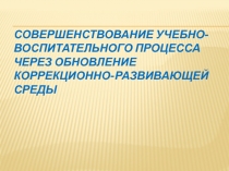 Совершенствование учебно-воспитательного процесса через обновление коррекционно-развивающей среды