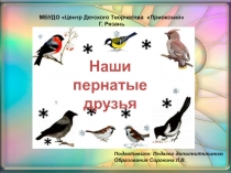 Наши пернатые друзья