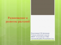 Размножение и развитие растений