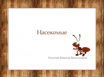 Презентация