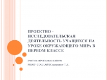 Проектно - исследовательская деятельность учащихся на уроке окружающего мира в первом классе