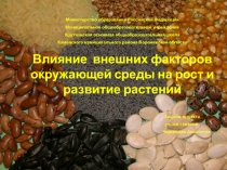 Значение света, воды, температуры, глубины заделки на рост и развитие растений