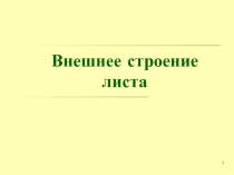 Презентация к уроку биологии по теме 