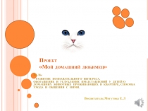 Домашний любимец