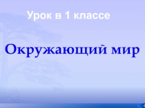 Почему нужно чистить зубы и мыть руки?