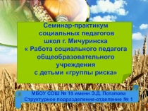 Работа социального педагога общеобразовательного учреждения с детьми 