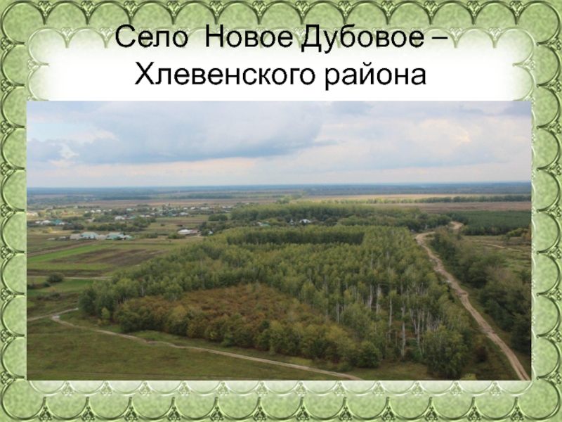 Село новое дубовое липецкая область. Природа села Дубовое Липецкая область. Новое Дубовое.