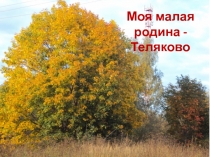 Моя малая родина - Теляково