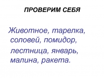 Презентация к уроку русского языка на тему 