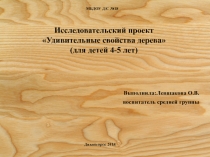 Отчет о проделанной работе над исследовательским проектомУдивительные свойства дерева(для детей 4-5 лет)