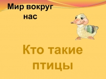 Кто такие птицы?