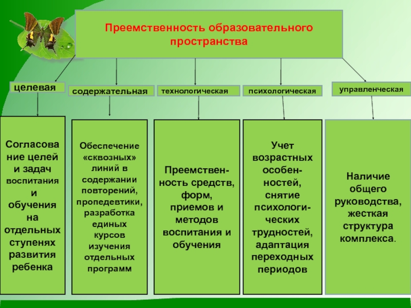 Виды программ воспитательной деятельности концепция комплексная целевая организаторская проект