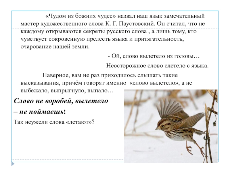 Слово не Воробей вылетит не поймаешь. Значение слова чудо. Выписать слова вылетания птиц. Слово не Воробей вылетит не поймаешь рисунок.