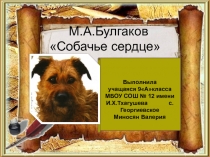 М.А. Булгаков Собачье сердце